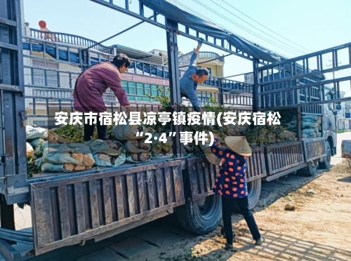 安庆市宿松县凉亭镇疫情(安庆宿松“2·4”事件)-第1张图片