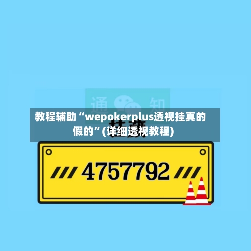 教程辅助“wepokerplus透视挂真的假的”(详细透视教程)-第3张图片