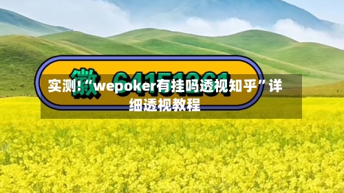 实测!“wepoker有挂吗透视知乎”详细透视教程-第1张图片