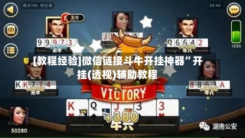 [教程经验]微信链接斗牛开挂神器	”开挂(透视)辅助教程-第2张图片