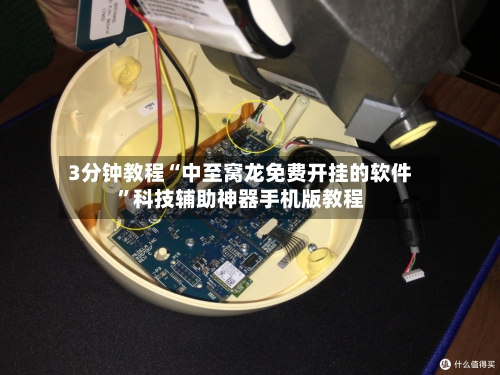 3分钟教程“中至窝龙免费开挂的软件	”科技辅助神器手机版教程-第1张图片