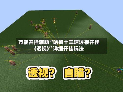 万能开挂辅助“哈狗十三道透视开挂(透视)”详细开挂玩法-第3张图片