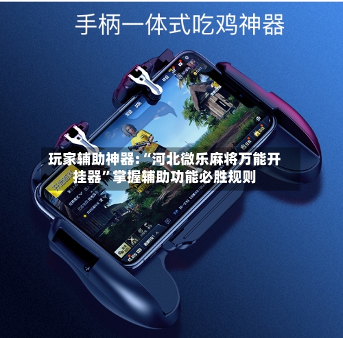 玩家辅助神器:“河北微乐麻将万能开挂器”掌握辅助功能必胜规则-第1张图片