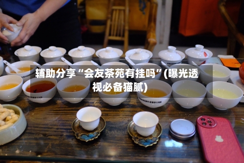 辅助分享“会友茶苑有挂吗”(曝光透视必备猫腻)-第1张图片