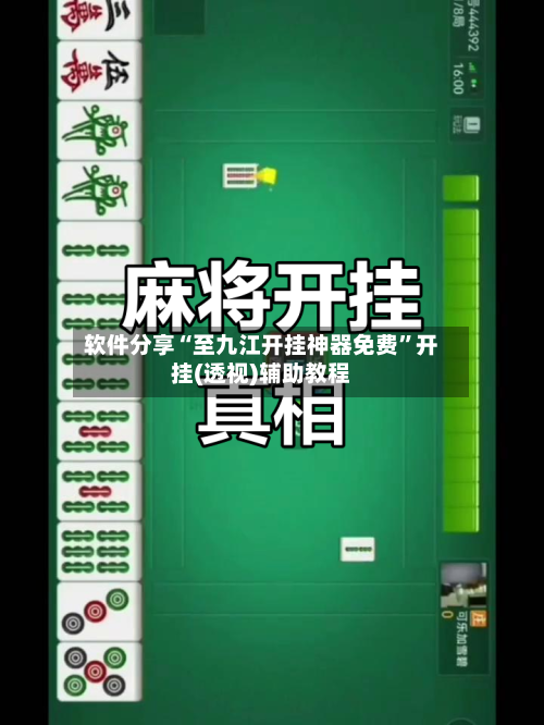 软件分享“至九江开挂神器免费”开挂(透视)辅助教程-第3张图片