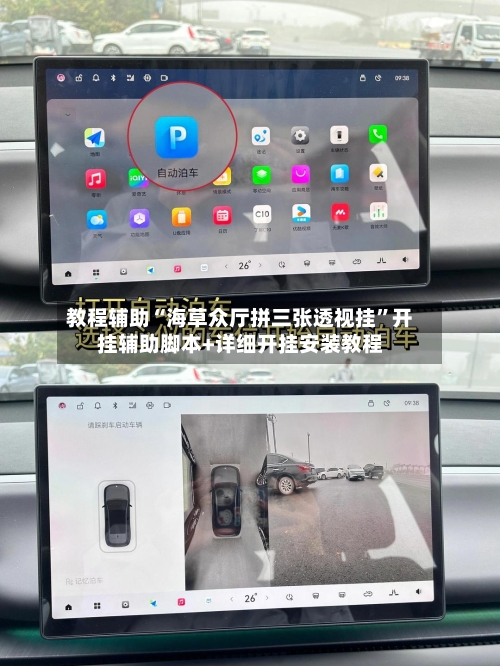 教程辅助“海草众厅拼三张透视挂”开挂辅助脚本+详细开挂安装教程-第2张图片