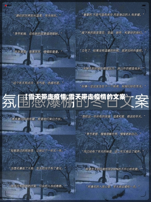 【雪天带走疫情,雪天带走疫情的文案】-第2张图片