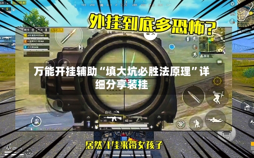 万能开挂辅助“填大坑必胜法原理	”详细分享装挂-第2张图片