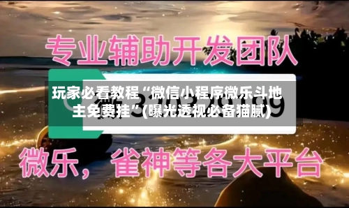玩家必看教程“微信小程序微乐斗地主免费挂”(曝光透视必备猫腻)-第3张图片