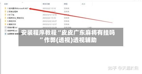 安装程序教程“皮皮广东麻将有挂吗	”作弊(透视)透视辅助-第2张图片