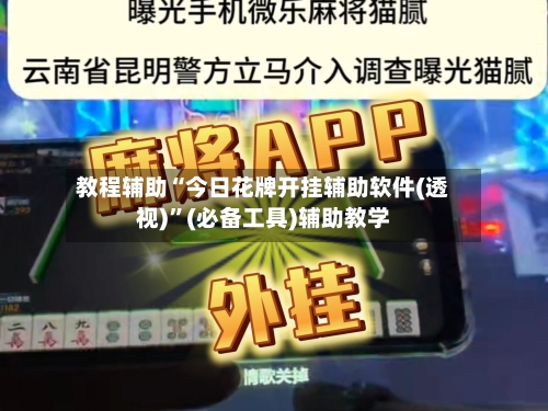 教程辅助“今日花牌开挂辅助软件(透视)”(必备工具)辅助教学-第2张图片