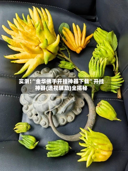 实测!“金华佛手开挂神器下载	”开挂神器{透视辅助}全揭秘-第1张图片