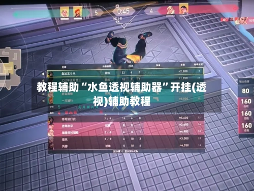 教程辅助“水鱼透视辅助器	”开挂(透视)辅助教程-第1张图片