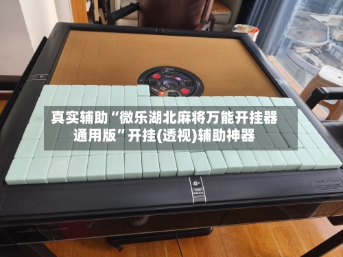 真实辅助“微乐湖北麻将万能开挂器通用版”开挂(透视)辅助神器-第3张图片