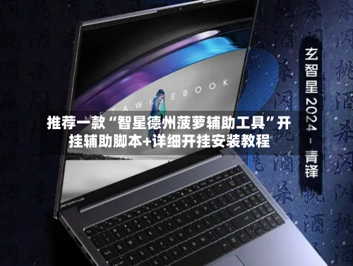 推荐一款“智星德州菠萝辅助工具”开挂辅助脚本+详细开挂安装教程-第1张图片