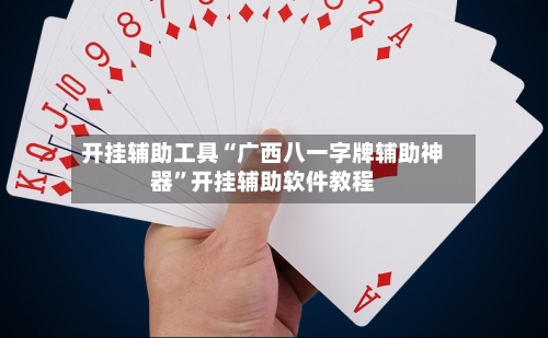 开挂辅助工具“广西八一字牌辅助神器”开挂辅助软件教程-第3张图片