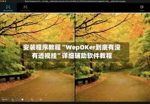 安装程序教程“WepOKer到底有没有透视挂	”详细辅助软件教程-第1张图片