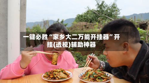 一键必胜“家乡大二万能开挂器”开挂(透视)辅助神器-第2张图片