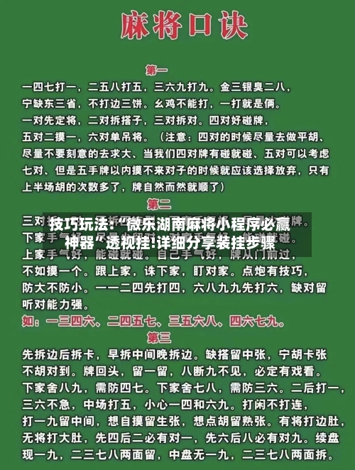 技巧玩法:“微乐湖南麻将小程序必赢神器	”透视挂!详细分享装挂步骤-第2张图片