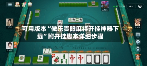 可用版本“微乐贵阳麻将开挂神器下载	”附开挂脚本详细步骤-第2张图片