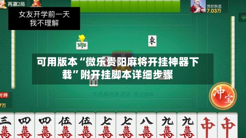 可用版本“微乐贵阳麻将开挂神器下载”附开挂脚本详细步骤-第3张图片