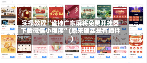 实操教程“雀神广东麻将免费开挂器下载微信小程序”(原来确实是有插件)-第1张图片