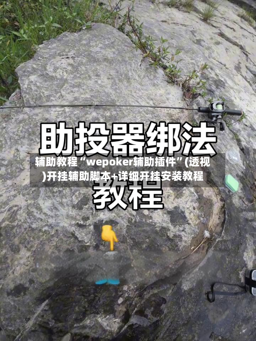 辅助教程“wepoker辅助插件”(透视)开挂辅助脚本+详细开挂安装教程-第1张图片