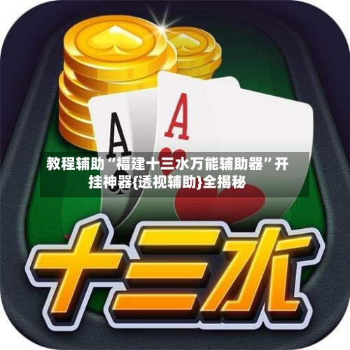 教程辅助“福建十三水万能辅助器”开挂神器{透视辅助}全揭秘-第2张图片