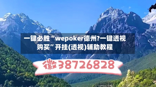 一键必胜“wepoker德州?一键透视购买”开挂(透视)辅助教程-第2张图片