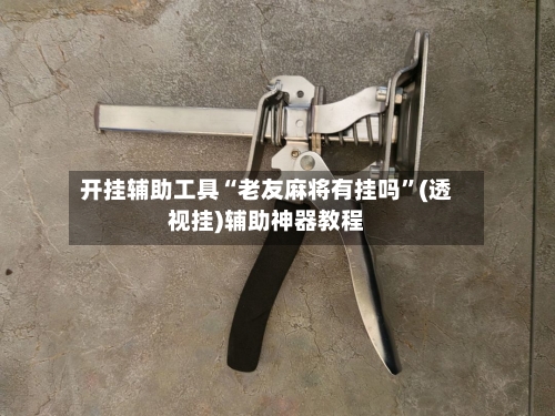 开挂辅助工具“老友麻将有挂吗”(透视挂)辅助神器教程-第3张图片