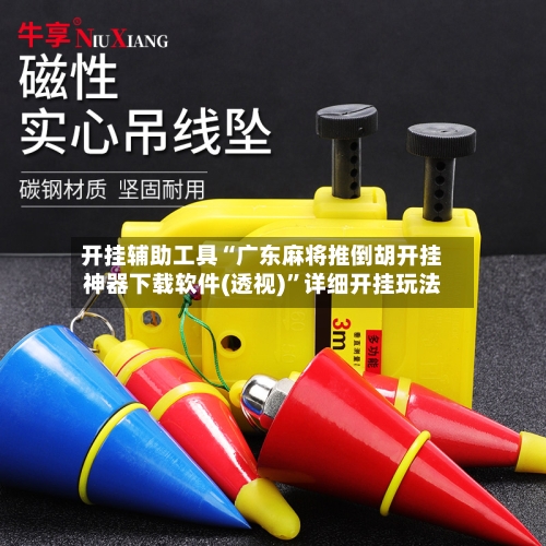 开挂辅助工具“广东麻将推倒胡开挂神器下载软件(透视)”详细开挂玩法-第2张图片