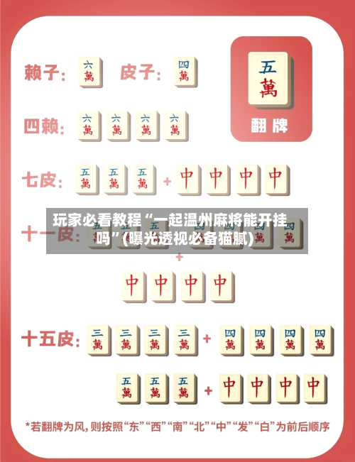 玩家必看教程“一起温州麻将能开挂吗	”(曝光透视必备猫腻)-第1张图片