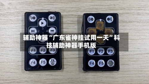 辅助神器“广东雀神挂试用一天”科技辅助神器手机版-第2张图片