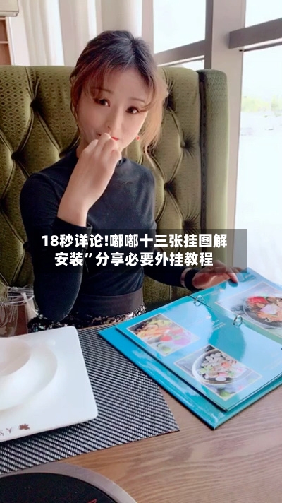 18秒详论!嘟嘟十三张挂图解安装”分享必要外挂教程-第1张图片