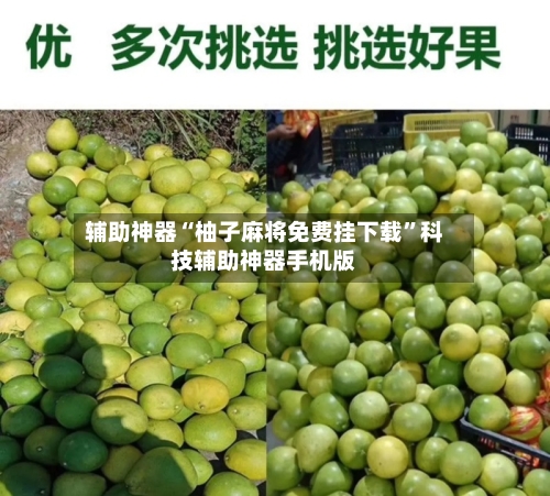 辅助神器“柚子麻将免费挂下载	”科技辅助神器手机版-第1张图片