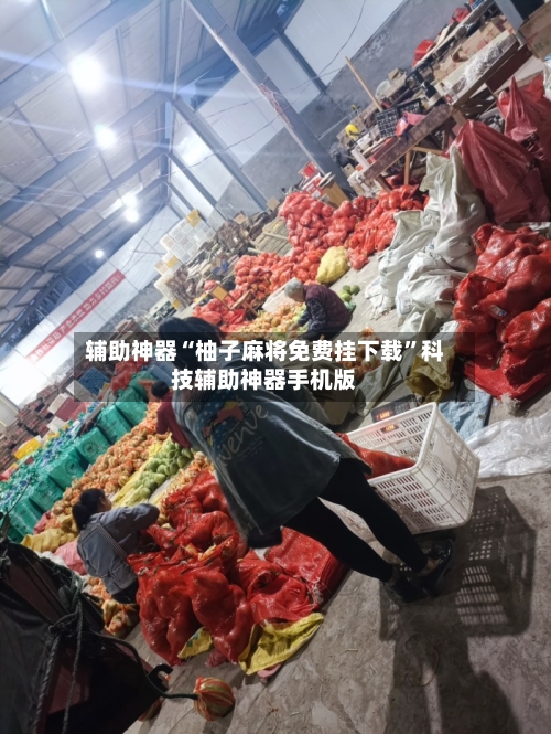 辅助神器“柚子麻将免费挂下载”科技辅助神器手机版-第2张图片