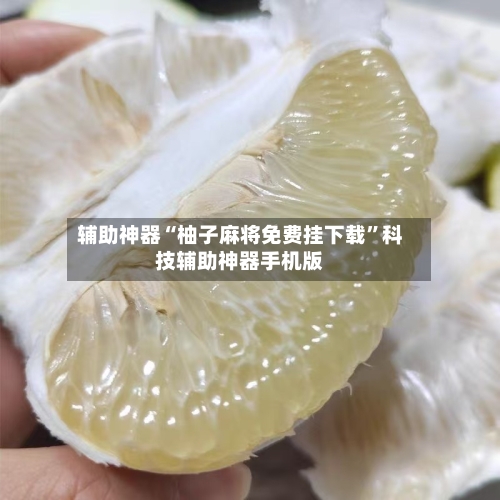 辅助神器“柚子麻将免费挂下载”科技辅助神器手机版-第3张图片