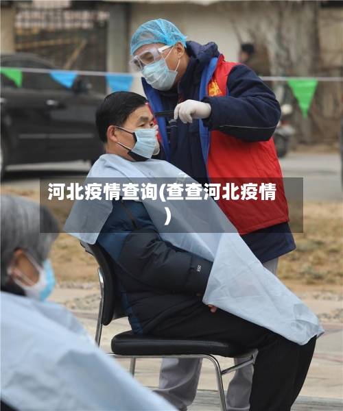 河北疫情查询(查查河北疫情)-第1张图片