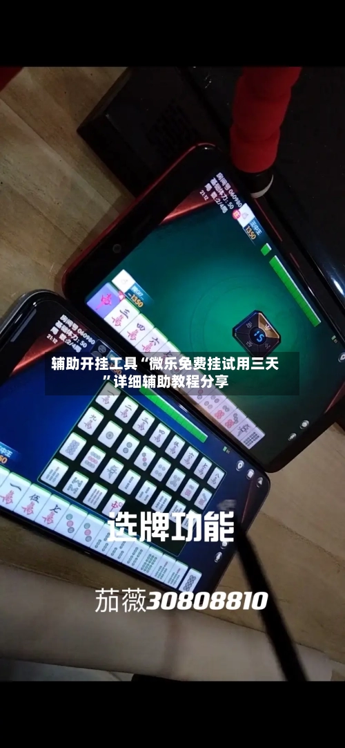 辅助开挂工具“微乐免费挂试用三天	”详细辅助教程分享-第1张图片