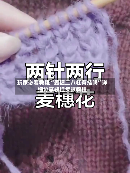 玩家必看教程“麦穗二八杠有挂吗”详细分享装挂步骤教程-第3张图片