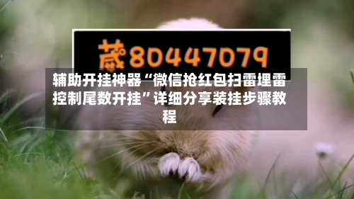 辅助开挂神器“微信抢红包扫雷埋雷控制尾数开挂”详细分享装挂步骤教程-第1张图片