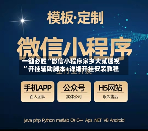 一键必胜“微信小程序家乡大贰透视”开挂辅助脚本+详细开挂安装教程-第3张图片