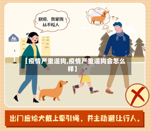 【疫情严重遛狗,疫情严重遛狗会怎么样】-第1张图片