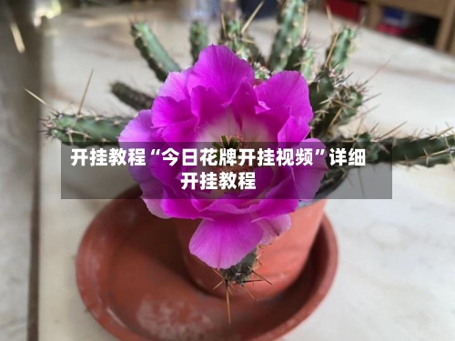 开挂教程“今日花牌开挂视频	”详细开挂教程-第1张图片