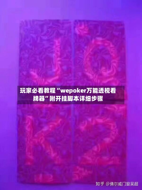 玩家必看教程“wepoker万能透视看牌器”附开挂脚本详细步骤-第2张图片