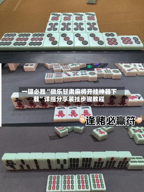 一键必胜“微乐甘肃麻将开挂神器下载	”详细分享装挂步骤教程-第3张图片