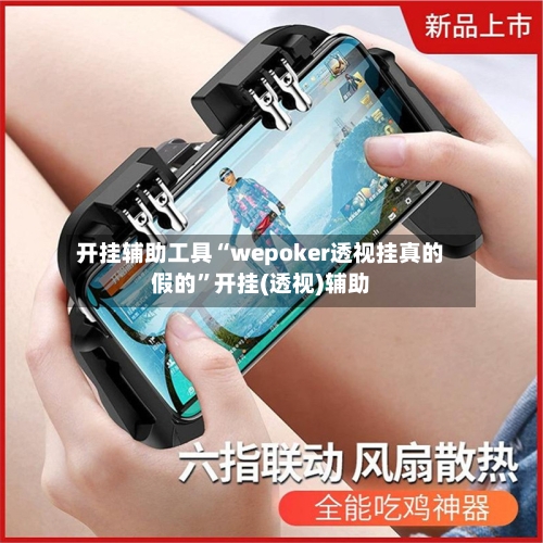 开挂辅助工具“wepoker透视挂真的假的”开挂(透视)辅助-第2张图片