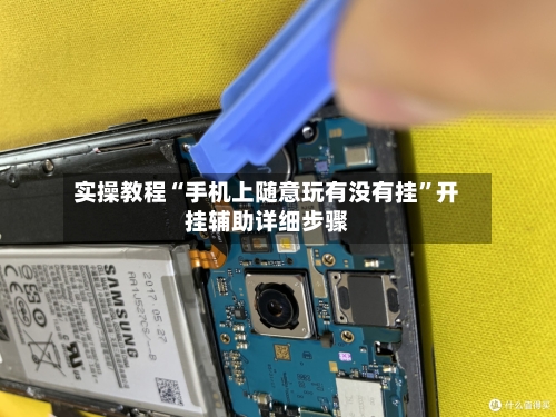 实操教程“手机上随意玩有没有挂”开挂辅助详细步骤-第1张图片