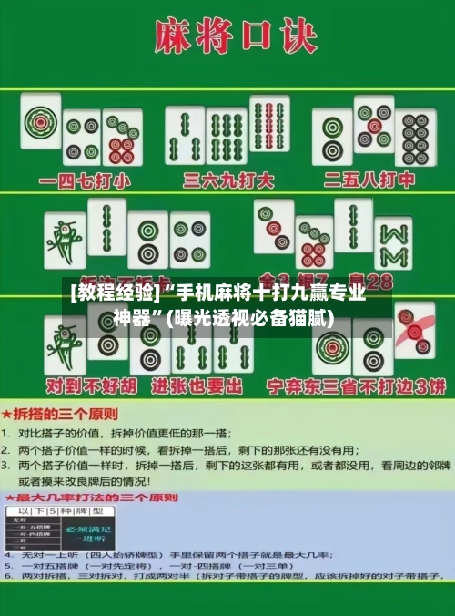 [教程经验]“手机麻将十打九赢专业神器	”(曝光透视必备猫腻)-第3张图片