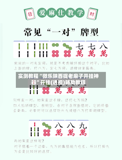 实测教程“微乐陕西捉老麻子开挂神器”开挂(透视)辅助教程-第1张图片